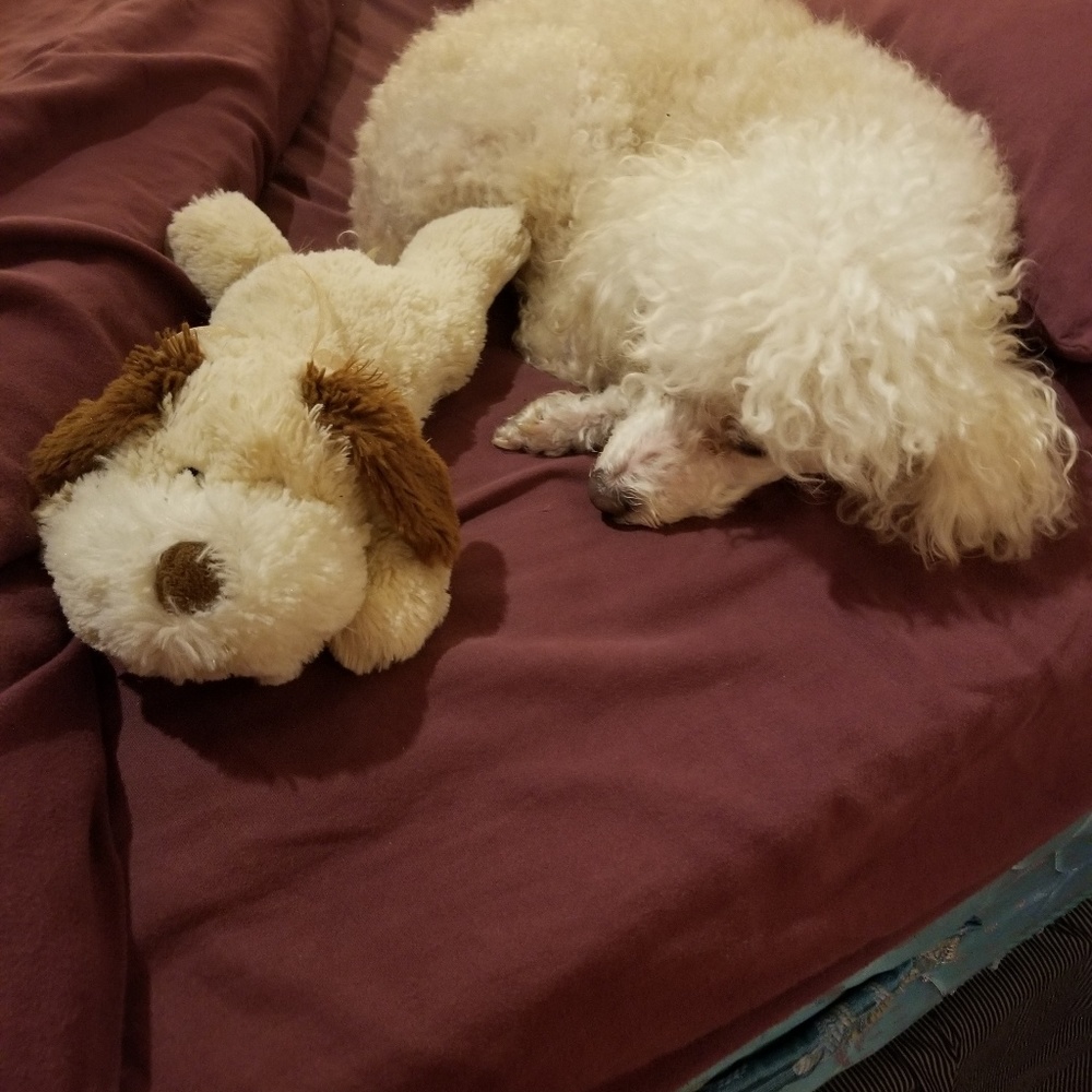 Meet your Posher, Joyce